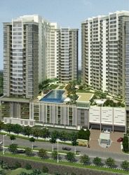 Covillea, Bukit Jalil